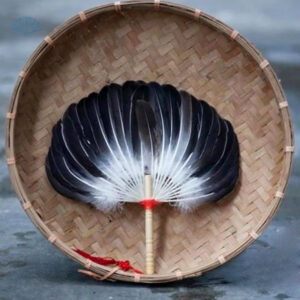 Éventail en plumes noires