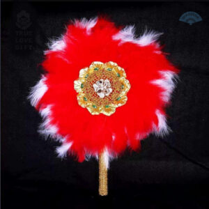 Éventail rond en plumes colorées